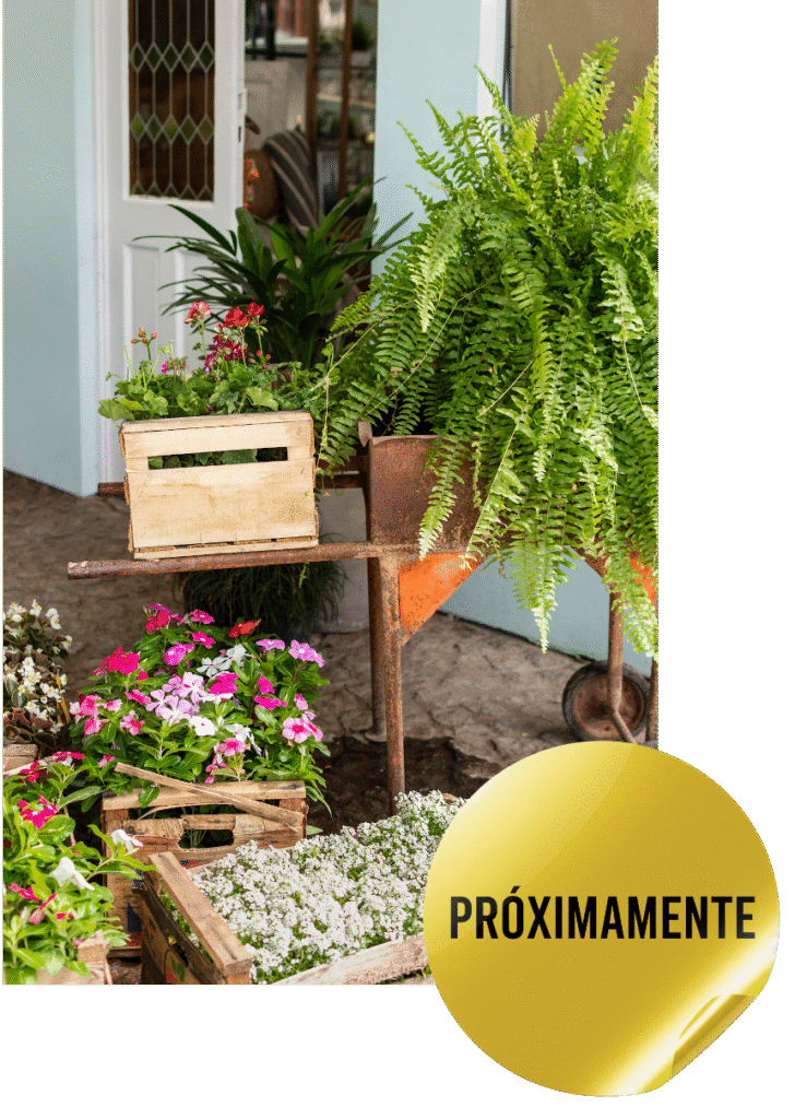 Línea_Jardín-Próximamente