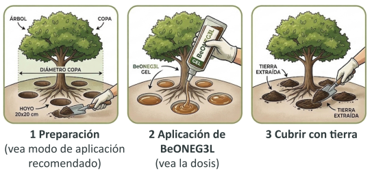 Modo de uso BeONEG3L