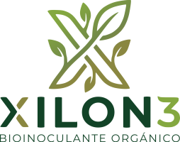 Logotipo de XILON3