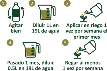 Modo de uso de XILON3